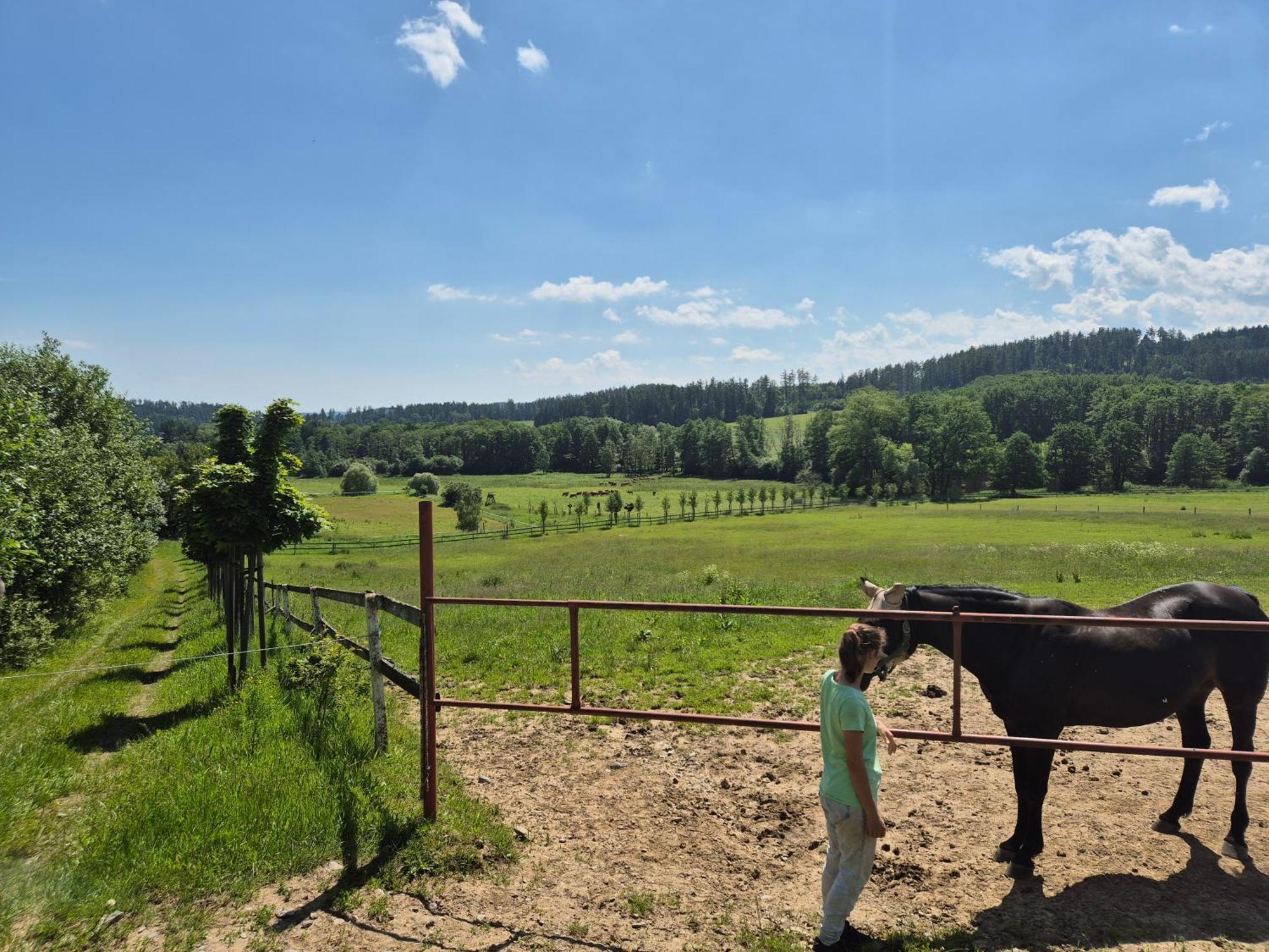 Hotelovy A Jezdecky Areal Dvur Krutenice Exteriör bild